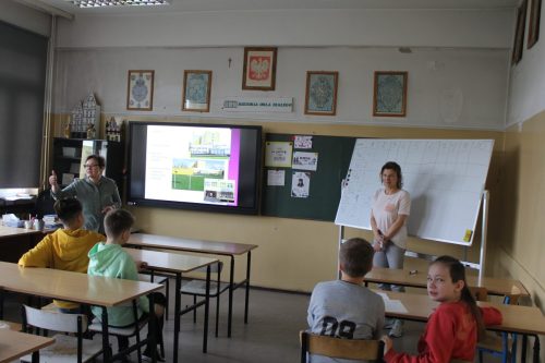 IMG 4767