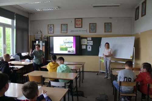 IMG 4770